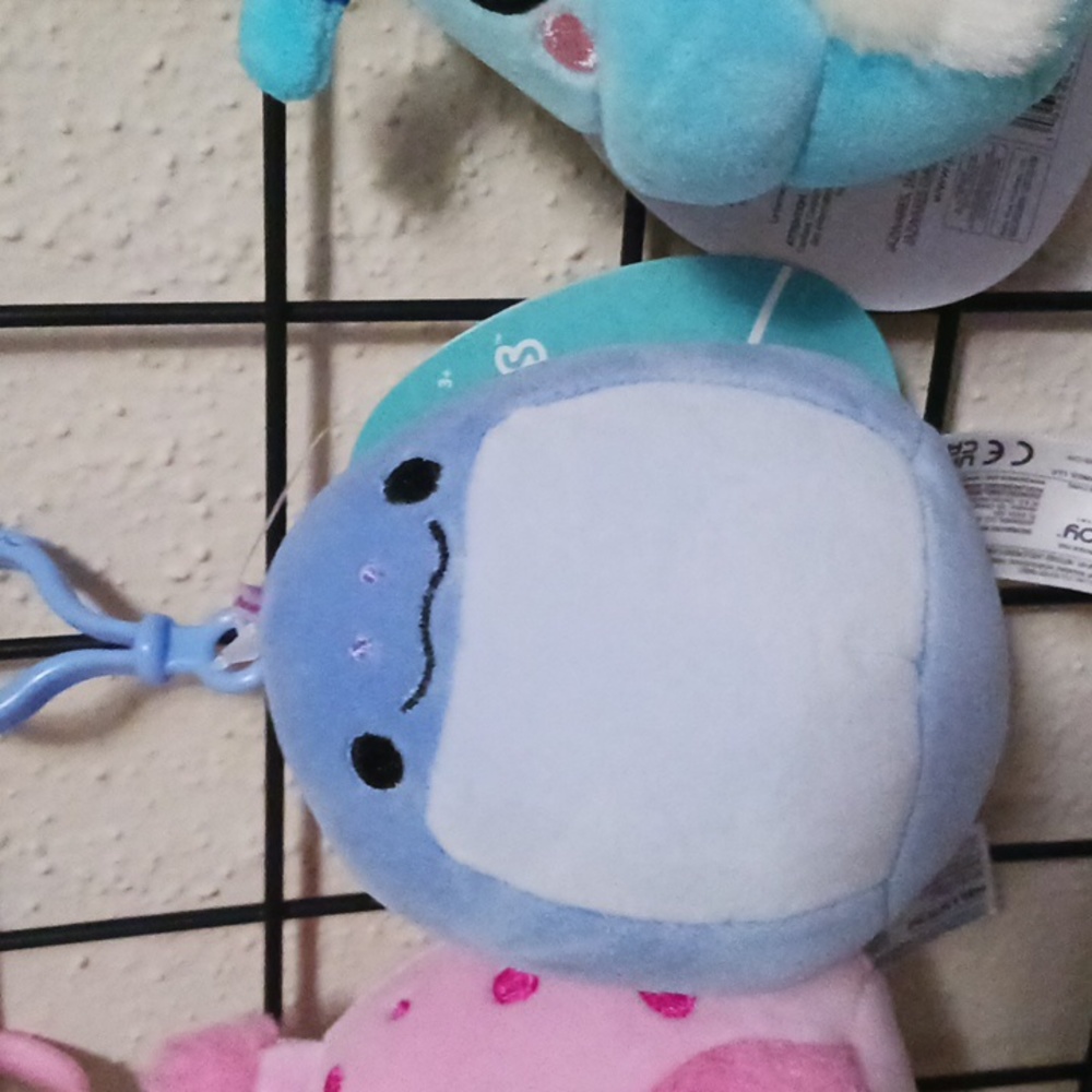 Donyar Squishmallow  clip